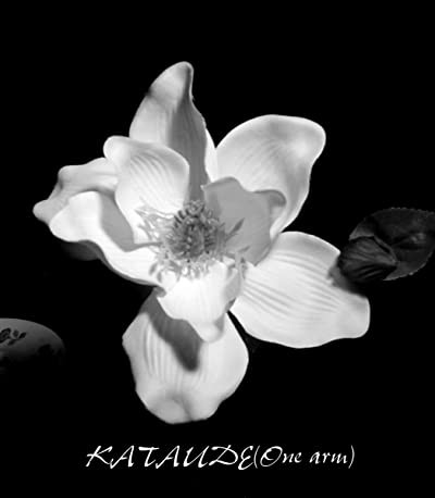 Kataude (2008) afişi Kataude (2008) afişi