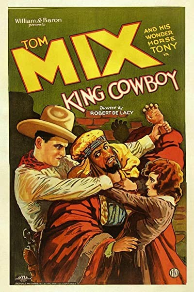 King Cowboy (1928) afişi King Cowboy (1928) afişi
