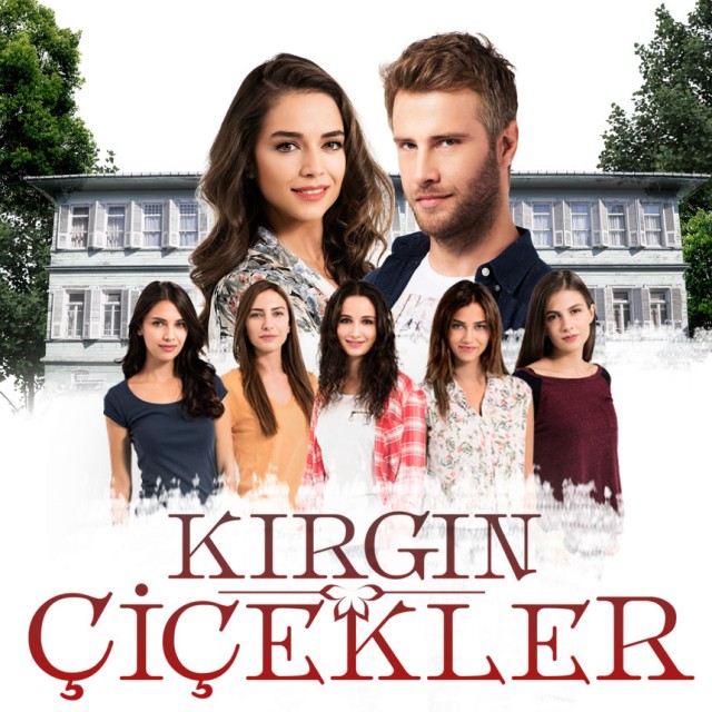 Kırgın Çiçekler (2024) afişi