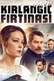 Kırlangıç Fırtınası (2017) afişi