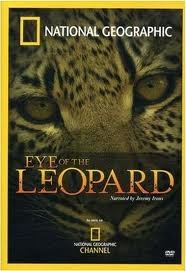 Leoparın Gözleri afişi Leoparın Gözleri afişi
