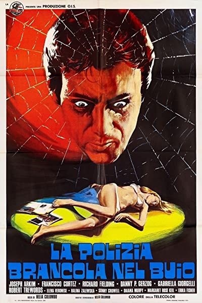 La polizia brancola nel buio (1975) afişi La polizia brancola nel buio (1975) afişi