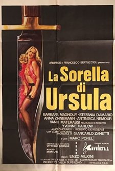 La Sorella Di Ursula (1978) afişi