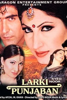 Larki Punjaban (2003) afişi