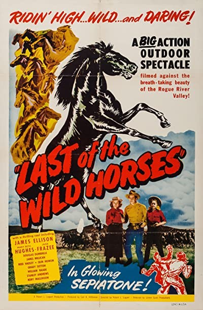 Last Of The Wild Horses (1948) afişi Last Of The Wild Horses (1948) afişi