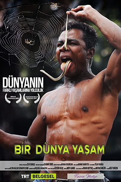 Life(ıı) (2013) afişi Life(ıı) (2013) afişi
