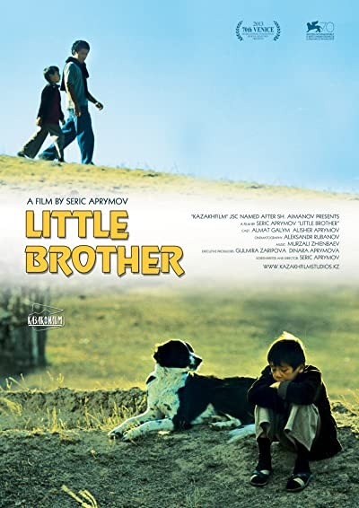 Little Brother (2013) afişi Little Brother (2013) afişi