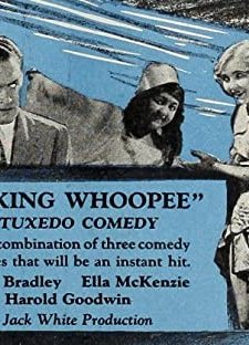 Making Whoopee (1928) afişi