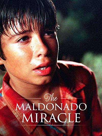 Maldonado Mucizesi (2003) afişi Maldonado Mucizesi (2003) afişi