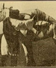 Mazeppa, Or The Wild Horse Of Tartary (1910) afişi