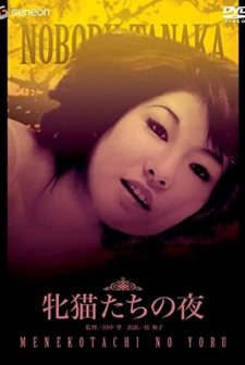 Mesunekotachi No Yoru