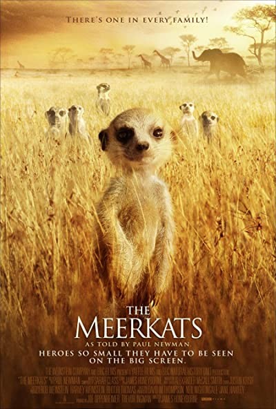 Mirket Ailesi (2008) afişi Mirket Ailesi (2008) afişi