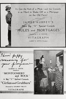 Mules And Mortgages (1919) afişi