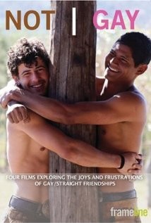 Not Gay (2008) afişi