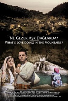 Ne Gezer Aşk Dağlarda? (2005) afişi