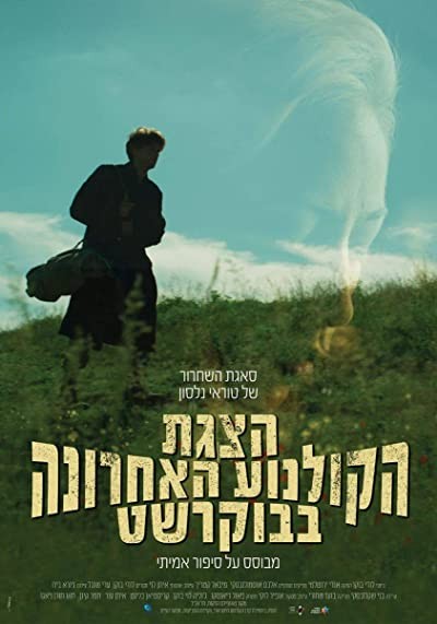 Nelson (2019) afişi Nelson (2019) afişi