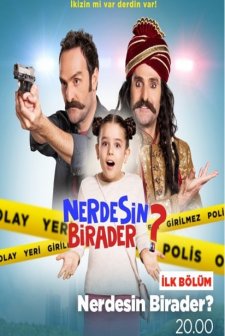 Nerdesin Birader (2017) afişi