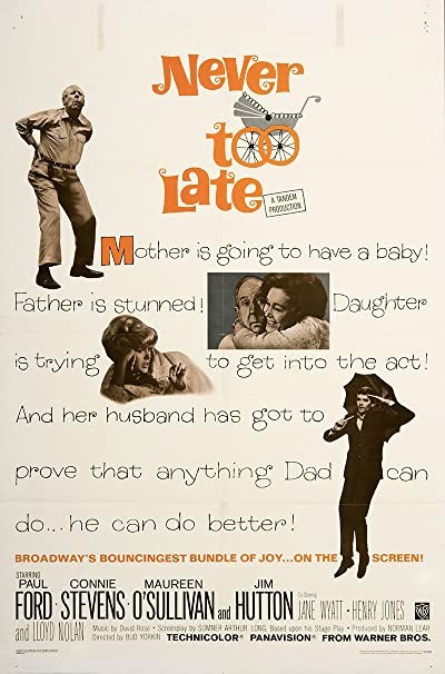 Never Too Late (1965) afişi Never Too Late (1965) afişi