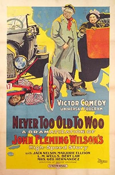 Never Too Old To Woo (1917) afişi Never Too Old To Woo (1917) afişi