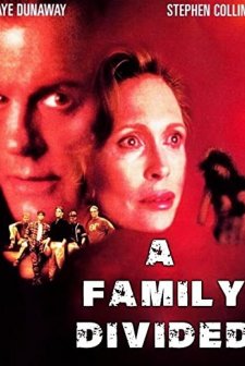 Nihai karar (1995) afişi