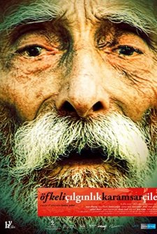 Öfkeli Çılgınlık Karamsar Çile (2011) afişi