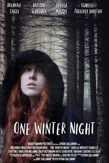 One Winter Night (2019) afişi