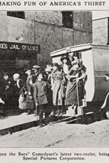 Open The Bars (1920) afişi