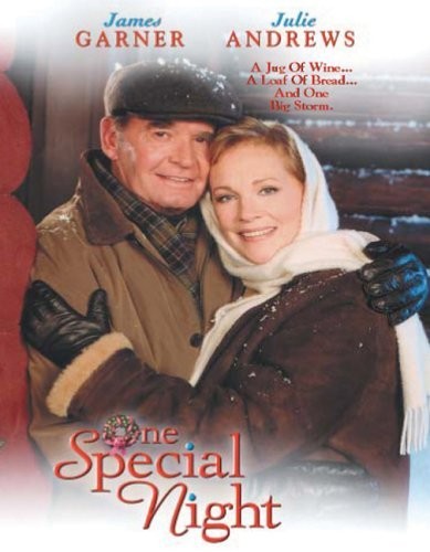 Özel Bir Gece (1999) afişi Özel Bir Gece (1999) afişi