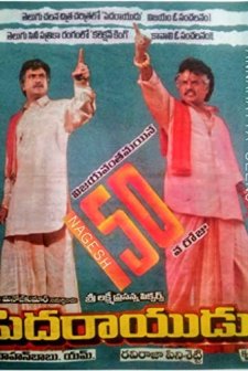 Peda Rayudu (1995) afişi