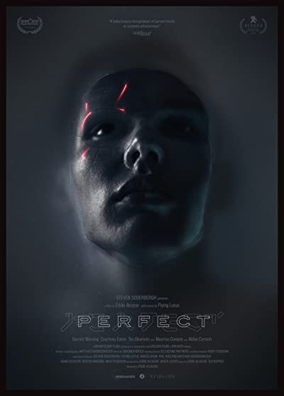 Perfect (2018) afişi Perfect (2018) afişi