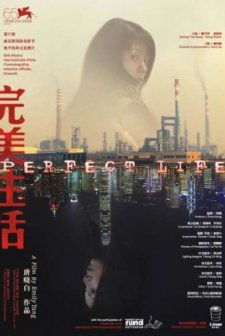 Perfect Life (2008) afişi