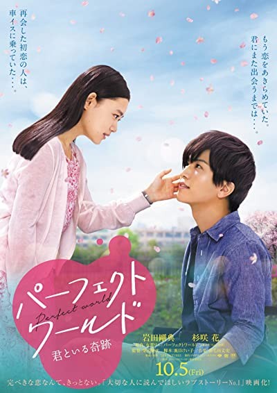 Perfect World (2018) afişi Perfect World (2018) afişi