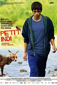 Petit indi (2009) afişi