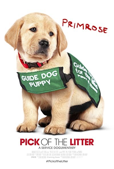 Pick of the Litter (2018) afişi