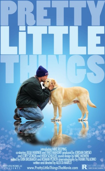 Pretty Little Things afişi