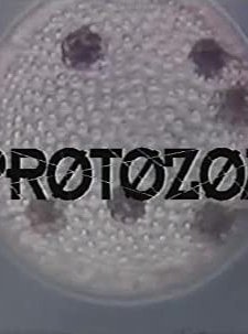Protozoa (1993) afişi