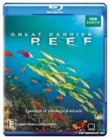 Reef to Rainforest (2012) afişi Reef to Rainforest (2012) afişi