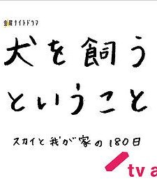 Sky To Wagaya No 180 Nichi (2011) afişi