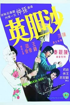 Sa Dam Ying (1976) afişi