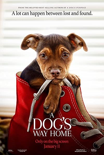 Sadık Dostum (2019) afişi Sadık Dostum (2019) afişi