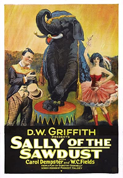 Sally Of The Sawdust (1925) afişi Sally Of The Sawdust (1925) afişi