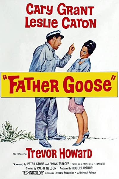 Şaşkın Baba (1964) afişi Şaşkın Baba (1964) afişi