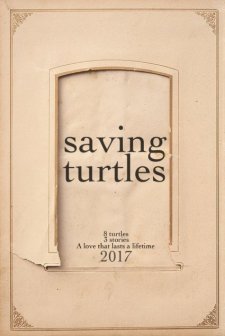 Saving Turtles (2017) afişi