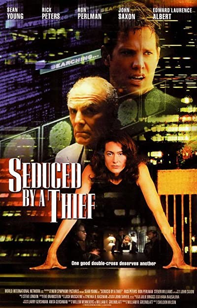 Seduced By A Thief (2001) afişi Seduced By A Thief (2001) afişi
