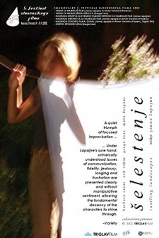 Selestenje (2002) afişi