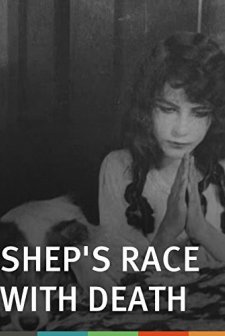 Shep's Race With Death (1914) afişi