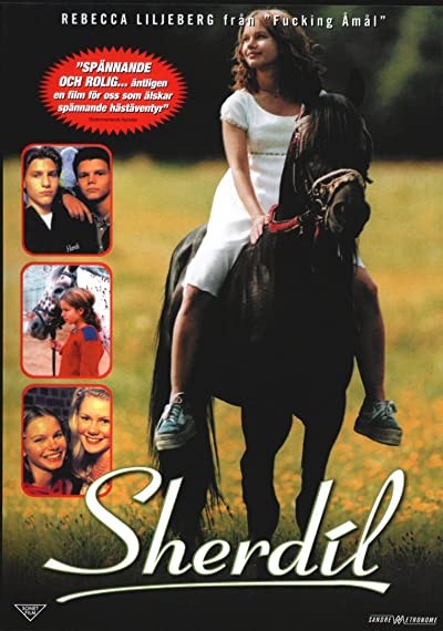 Sherdil (1999) afişi Sherdil (1999) afişi