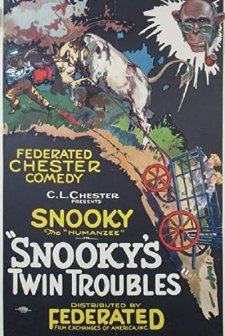 Snooky's Twin Troubles (1921) afişi
