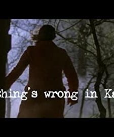 Something's Wrong in Kansas (2008) afişi