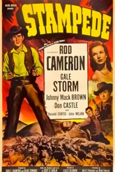 Stampede (1949) afişi